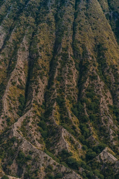 Vista Perto Textura Bromo Mount Com Vegetação Savana Lava Rochosa — Fotografia de Stock