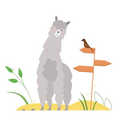 Şirin lama alpaka. Deve hayvan ailesi, tüylü sevimli lama, lamoid tür vektör illüstrasyonu