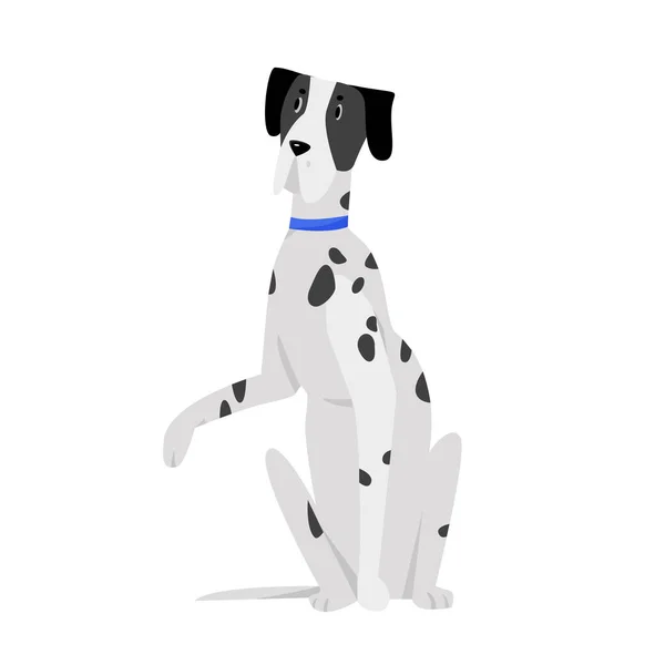 Далматинская Порода Собак Семейный Питомец Игривая Собачья Векторная Иллюстрация — стоковый вектор