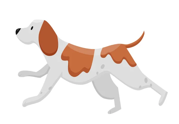 Σκυλί Ράτσας Σκυλάκι Τρέχει Οικογένεια Χνουδωτό Κατοικίδιο Ζώο Κουτάβι Περπάτημα — Διανυσματικό Αρχείο