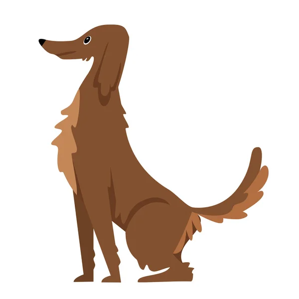 Выводите Собаку Сидячем Положении Семейное Собачье Животное Пушистый Щенок Лучший — стоковый вектор