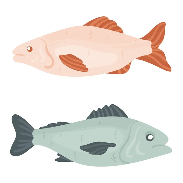 Whole Tuna Fish Healthy Seafood Menu Japanese Cuisine Fish Fillet — Stock Vector