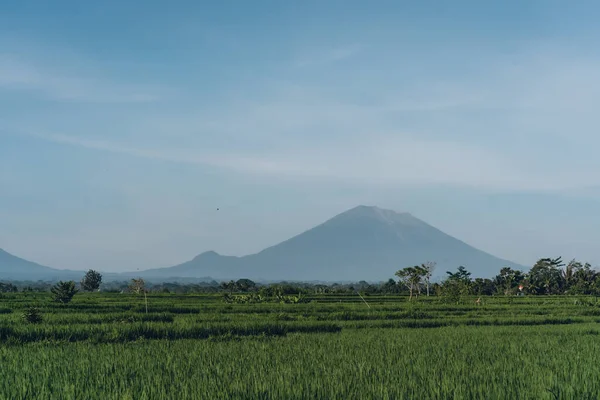 Landschaft Blick Auf Grüne Reisfelder Und Berge Bewölkt Und Neblig — Stockfoto