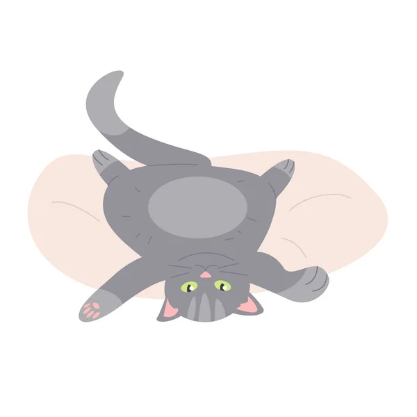 柔らかい小さなベッドでリラックスした怠惰な猫 背中の子猫に横たわる ホームフリーペット漫画ベクターイラスト — ストックベクタ