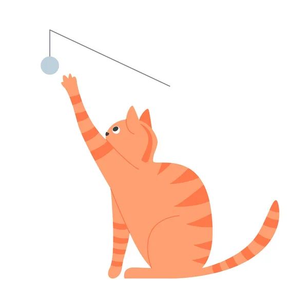 Τζίντζερ Γάτα Παίζει Ζώα Παιχνίδι Γατάκι Διασκεδάζοντας Εγχώρια Σπίτι Κατοικίδιο — Διανυσματικό Αρχείο
