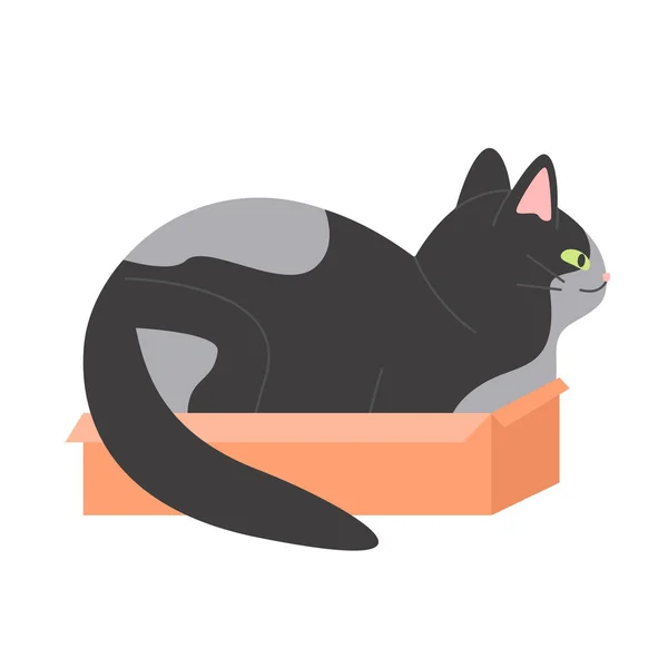 Karton Kutuda Oturan Komik Kedi Kediler Için Uyumak Için Iyi — Stok Vektör