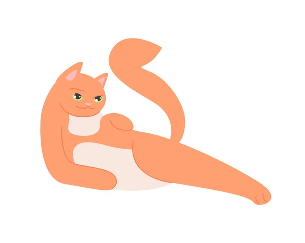 Ingwer Süße Katze Stretchpose Faules Häusliches Kätzchen Heimtier Liegeposition Cartoon — Stockvektor