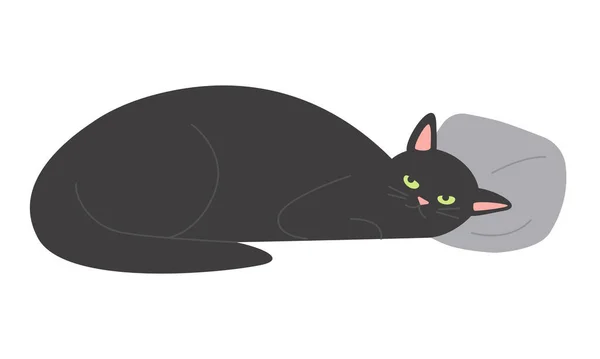 枕で寝ている黒猫 ふわふわの国内の子猫 家族のペットの友人の漫画のベクターのイラスト — ストックベクタ