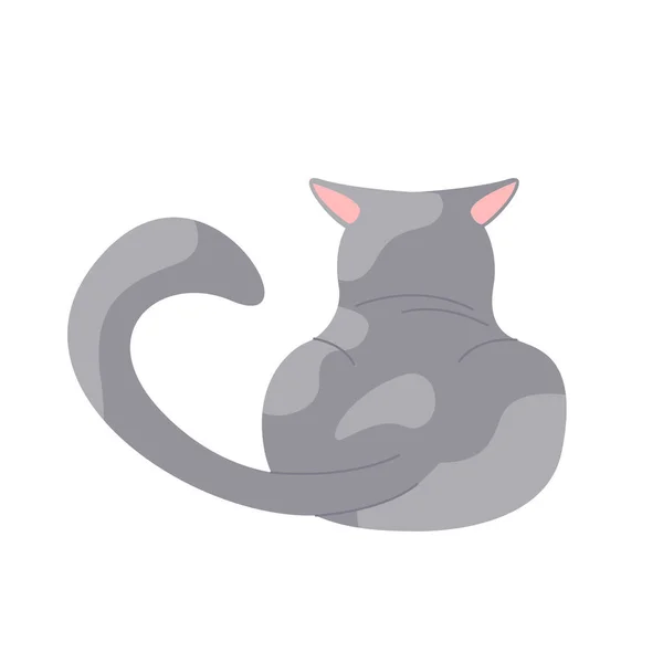 Πίσω Όψη Γκρίζας Γάτας Αυτιά Πίσω Παιχνιδιάρικη Θέση Γατάκι Θυμωμένος — Διανυσματικό Αρχείο