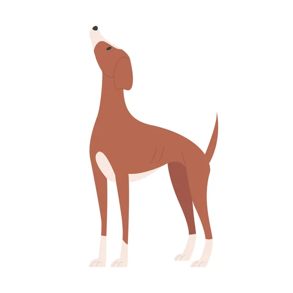 見上げている犬 家庭犬種 家族の子犬ペット漫画ベクターイラスト — ストックベクタ