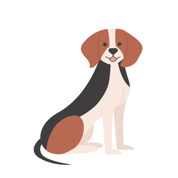 Beagle Dog Sitting Pose Domestic Puppy Breed Family Friend Pet — Stock Vector