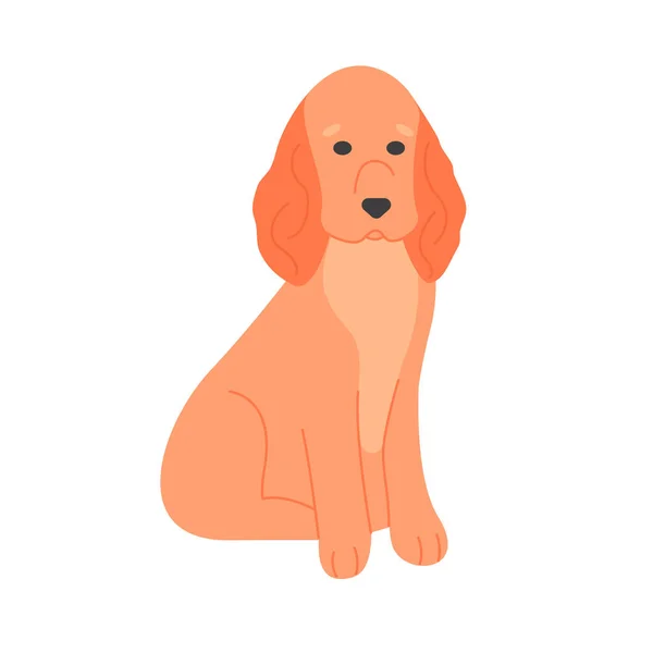 English Cocker Spaniel Dog Furry Domestic Puppy Breed Family Pet — Stock Vector