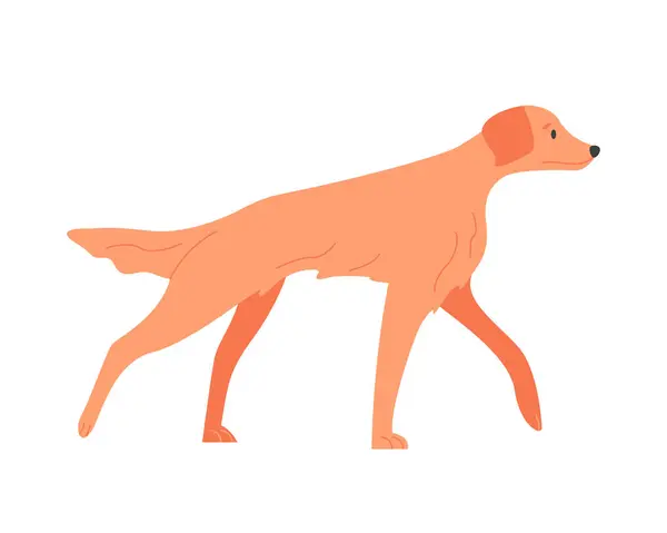 Гуляющая Ирландская Собака Сеттер Семейная Порода Собак Векторная Иллюстрация Щенков — стоковый вектор