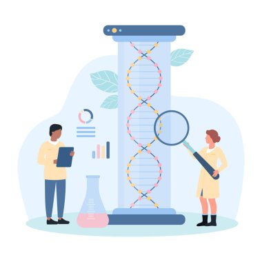 Biyoteknoloji laboratuvar vektör illüstrasyonunda DNA araştırması. Çizgi filmdeki küçük bilim adamları ya da beyaz önlüklü öğrenciler laboratuvar test tüpünde DNA moleküler yapısını, büyüteçle genom analizini araştırıyorlar.