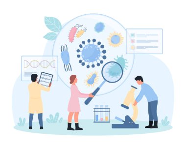 Epidemiyoloji, bakteriyoloji ve bulaşıcı hastalık araştırma vektörü çizimi. Çizgi filmlerde büyüteç ve laboratuvar mikroskobuyla küçük insanlar Petri kabında mikroorganizmaları incelerler, test tüpleri...