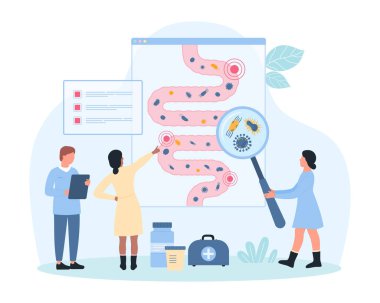 Bağırsak mikrobiyomu araştırması, gastrointestinal sağlık vektörü çizimi. Çizgi filmdeki küçük insanlar büyüteçle iyi ve kötü bakterileri kontrol ediyorlar, insan bağırsağının bilgi anatomisi grafiğinde mikrobiyota yapıyorlar.