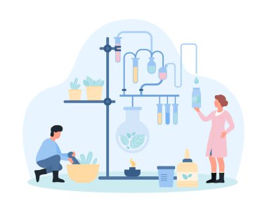 Naturopati, alternatif ve tamamlayıcı destek terapi vektör illüstrasyonu. Çizgi filmlerdeki küçük insanlar doğal otlar, bitkiler, tokmak ve havan topları, laboratuvar ekipmanları kullanarak doğal ilaç üretiyorlar.