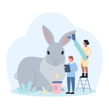 Veteriner vektör illüstrasyonuyla tavşan incelemesi. Çizgi filmlerdeki minik doktorlar veteriner hastanesinde otoskoplu evcil hayvan kulaklarını kontrol ederler. İnsanlar pamuklu bezle temizler ve sevimli hayvanların kulak sorunlarını tedavi ederler.