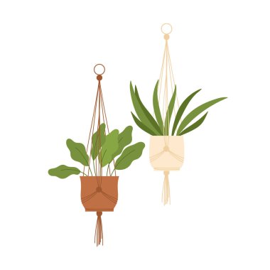 Saksı bitkileri asmak. Esrarlı duvar dekoratif botanikleri, bahçe mobilyaları vektör illüstrasyonu