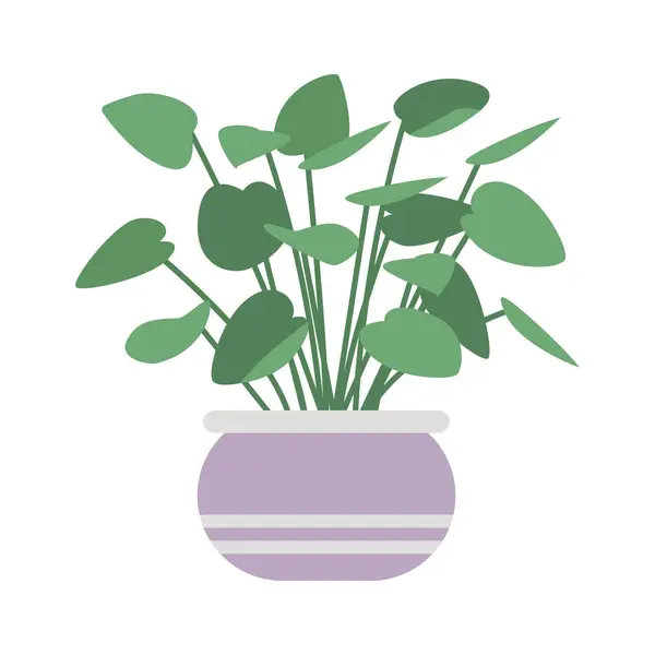Natuurlijke Decoratie Potten Kamerplant Binnendecoratieve Plant Pot Cartoon Vector Illustratie — Stockvector