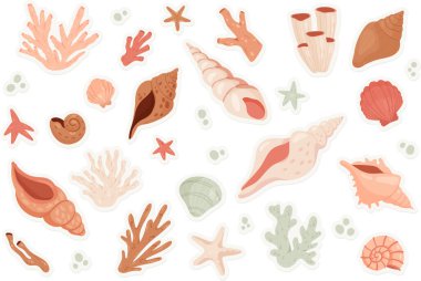 Cute sea shells sticker set vector illustration. Cartoon beach or underwater objects and tropical marine animals collection, badges with little starfish and scallop, clam and coral, water bubbles