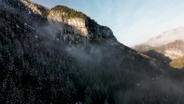 Levante Vista Aérea Dolly Floresta Pinheiros Inverno Nebuloso Montanhas Low — Vídeo de Stock