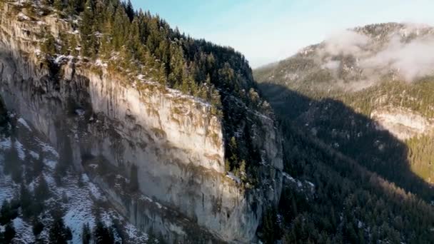 Dolly Antenne Udsigt Tåget Vinter Fyrreskov Low Tatras Bjerge Slovakiet – Stock-video