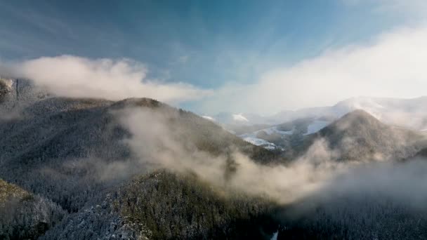 Luchtfoto Van Mistige Winter Bos Schilderachtige Zonsondergang Het Lage Tatra — Stockvideo