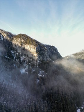 Slovakya 'nın alçak Tatras yamacında kışın sisli çam ormanlarının hava manzarası. Karlı köknar ağaçlarının tepesinden gelen sakin sis ve sis güzel kayaların üzerinde büyüyor, karamsar, soğuk hava.