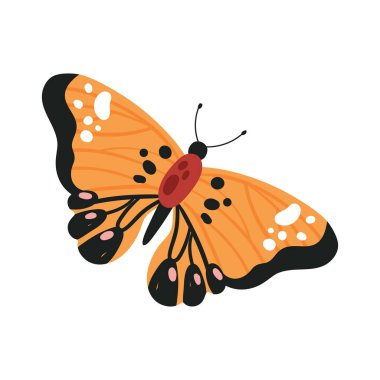 Çizgi film renkli el çizimi kelebek uçuş vektörü çizimi izole edildi