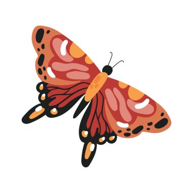 Çizgi film renkli el çizimi kelebek uçuş vektörü çizimi izole edildi