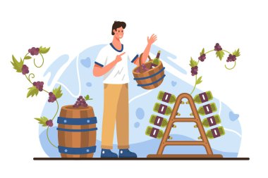 Şarap üretimi, alkol üretimi yaşlanma ve şarap üretiminde depolama aşaması. Küçük şarap imalatçısı elinde ahşap sepet, rafta dizilmiş şarap şişeleri, bodrum katındaki çizgi film çizimleri.