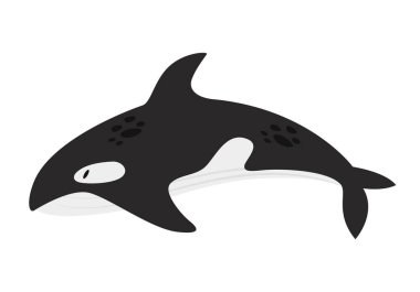 Okyanus balina katili. Kuzey Kutbu ve Antarktika hayvanları, Kar Denizi Orka karikatür vektör çizimi