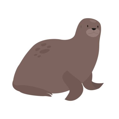 Kuzey Buz Denizi fokları. Kuzey Kutbu ve Kuzey Kutbu hayvanları, Kar Denizi Hayvanat Bahçesi Çizgi Filmi Vektör Çizimi