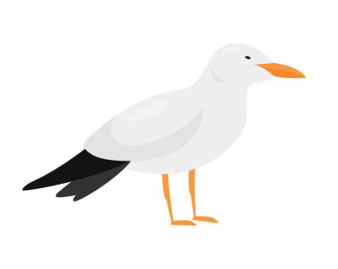 Arktik deniz feneri kuşu. Kutup ve antarktik hayvanlar, kar okyanusu faunası vektör çizimi