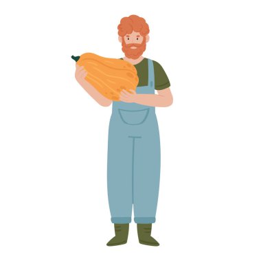 Balkabaklı çiftçi. Çiftçilik faaliyetleri, sebze hasatları düz vektör çizimleri