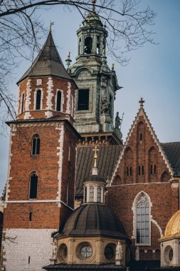 Wawel Kraliyet Kalesi kompleksinin sonbahar ağaç dalları ve taş kuleleri, Krakow, Polonya