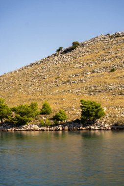 Adriyatik Denizi, Dugi Otok Adası ve Hırvatistan 'ın sularındaki kayalık kıyı ve çalıların yansıması