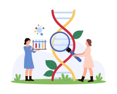 Laboratuvarda genetik analiz, genlerin ve kromozomların bilimsel araştırması. Tıbbi test tüpleri ve büyüteç taşıyan küçük insanlar DNA molekülü model karikatür çizimi için