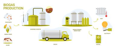 Biogas, bio energy production in industrial infographic scheme with process stages. Biomass of organic food and livestock waste processed into biofuel, electricity and heat cartoon vector illustration clipart