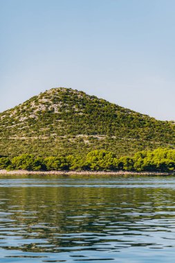 Hırvatistan 'ın Adriyatik Denizi' ndeki çam ağaçları ve kayalık plaj Dugi Otok adasıyla yaz manzarası