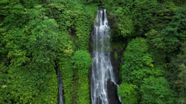Bali Endonezya 'daki Banyumala Şelalesi, yemyeşil çimlerin arasına kurulmuş çarpıcı bir manzara. Şelale zarif bir şekilde havuza akar ve büyüleyici bir manzara yaratır..