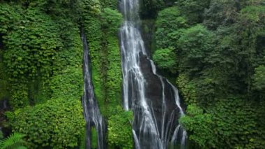Bali Endonezya 'daki Banyumala Şelalesi, yemyeşil çimlerin arasına kurulmuş çarpıcı bir manzara. Şelale zarif bir şekilde havuza akar ve büyüleyici bir manzara yaratır..