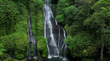 Bali Endonezya 'daki Banyumala Şelalesi, yemyeşil çimlerin arasına kurulmuş çarpıcı bir manzara. Şelale zarif bir şekilde havuza akar ve büyüleyici bir manzara yaratır..