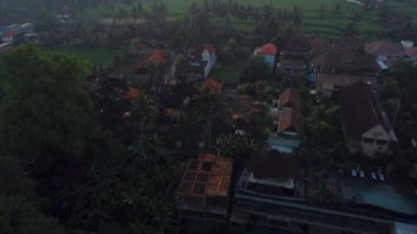 Bali 'nin soyut geometrik şekilleri, palmiye ağacı ve yağmur ormanı tropikal orman plantasyonuyla dolu yeşil pirinç tarlaları.