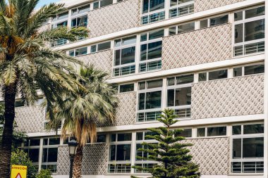 Valencia 'daki modern bina cephesi desenli fayanslar ve geniş pencerelerle süslenmiş, bereketli palmiye ağaçları çerçeveli. Kentsel ortam modern tasarımla tropikal yeşilliği birleştiriyor..