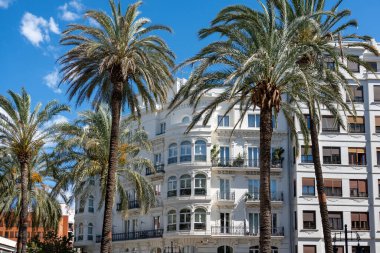 Valencia 'da klasik süslemeli binalarla dolu bir cadde boyunca uzanan uzun palmiye ağaçları. Mimari zarafet ve doğal güzelliğin birleşimi parlak bir gökyüzü altında Valencia 'nın şehir cazibesini sergiliyor..