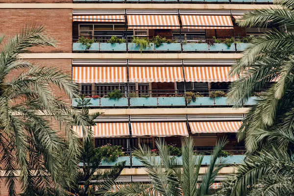 stock image Residential building in Valencia with vibrant orange-striped awnings and lush balcony plants. Palm trees frame the scene, adding a tropical touch to the urban landscape.