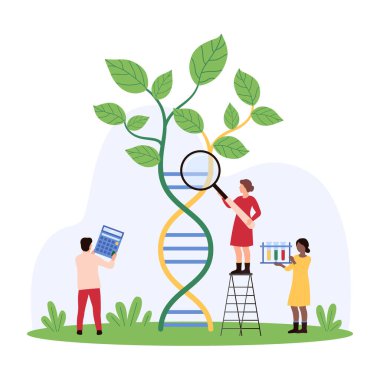 Araştırmacılar bitki yapraklarıyla sarmalanmış büyük bir DNA sarmalını inceliyorlar. Biri büyüteç kullanıyor, diğeri test tüpleri tutuyor ve üçüncü bir kişi veri vektör illüstrasyonunu hesaplıyor.