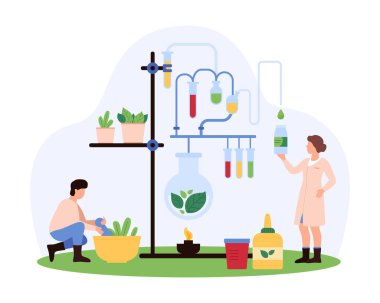 Bilim insanları bitkisel ilaçlara odaklanarak organik kimya araştırmalarına giriştiler. Bitkiler, test tüpleri ve deney tüpleri, bir laboratuvar vektör illüstrasyonunda doğal ilaç sentezini vurguluyorlar.